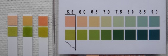 写真4　ストーマパウダー1%水溶液pH測定結果（左から、ブランク、ブラバパウダー、バリケアパウダー）